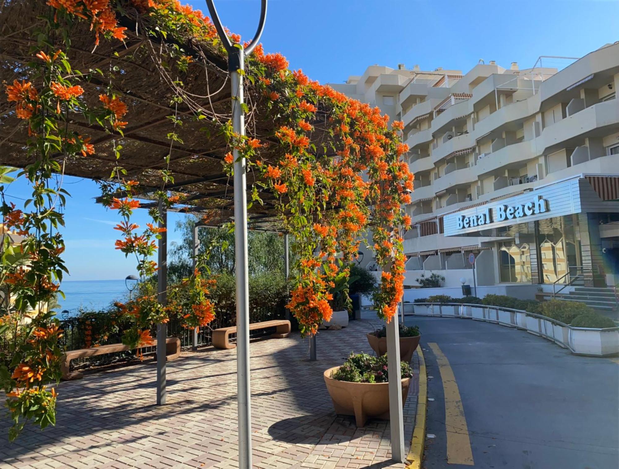 בנאלמדנה Benal Beach Apartamento Mountain View מראה חיצוני תמונה